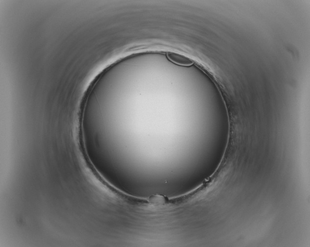 X0000112061518200908111401