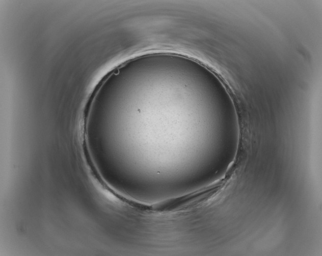 X0000112061519200908111401