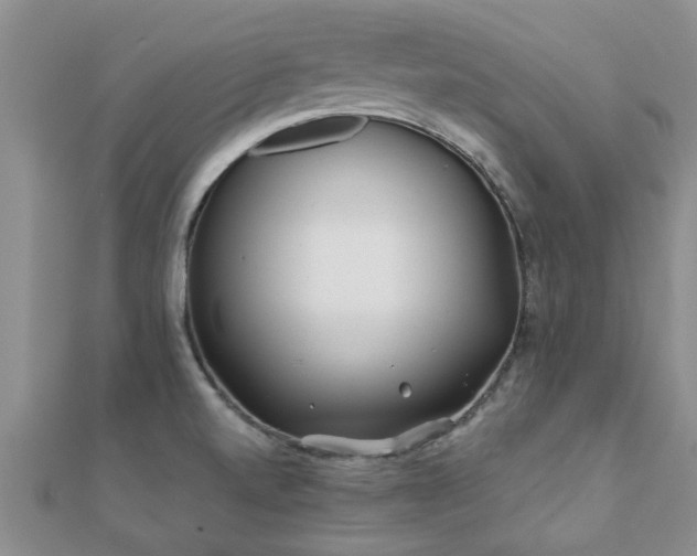 X0000112061520200908111401