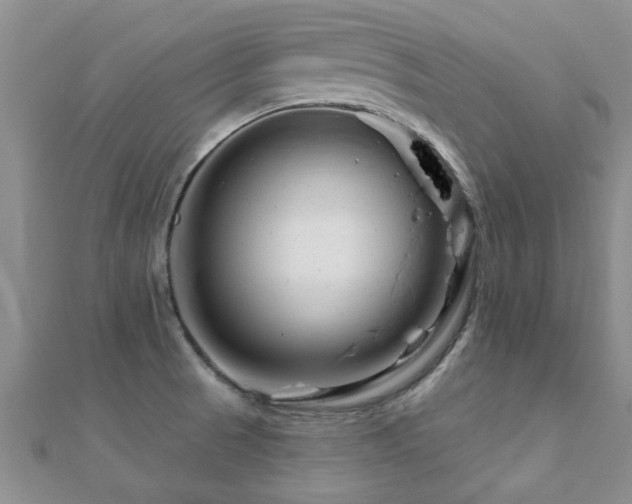 X0000112061521200908111401