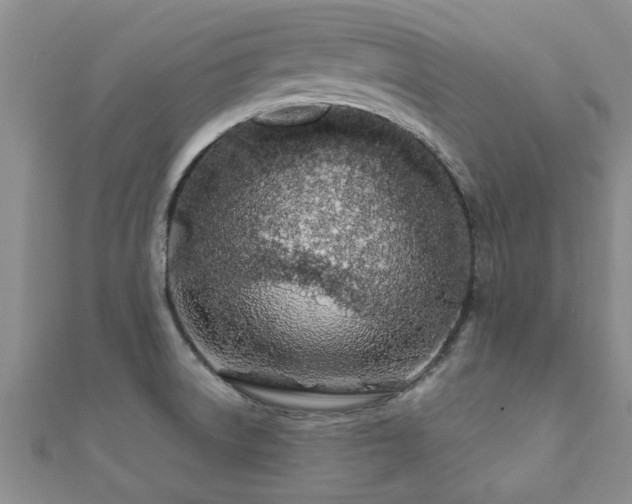 X0000112061522200908111401
