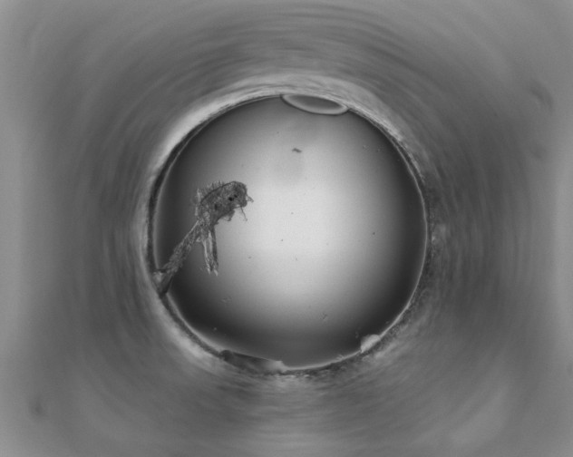 X0000112061523200908111401