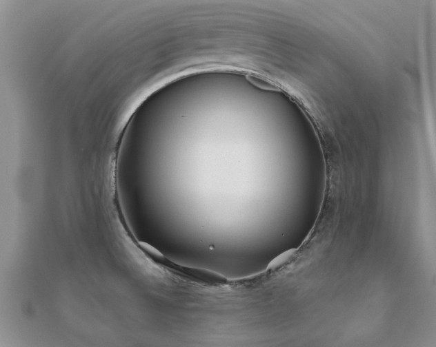 X0000112061524200908111401