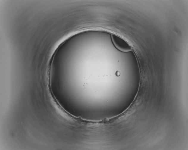 X0000112061526200908111401