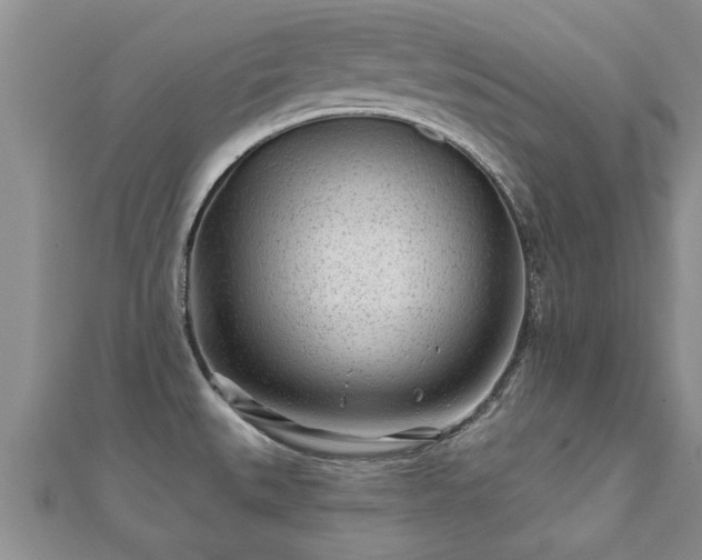 X0000112061527200908111401