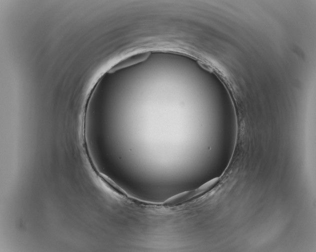 X0000112061528200908111401