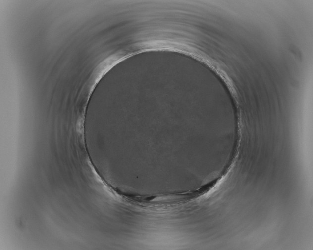 X0000112061529200908111401
