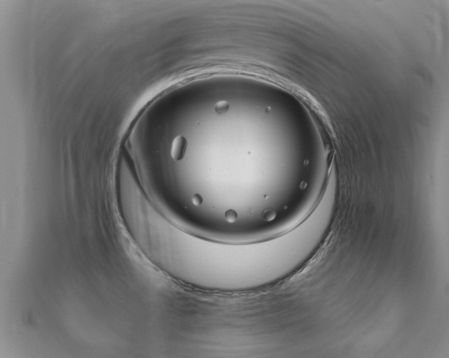 X0000112061530200908111401