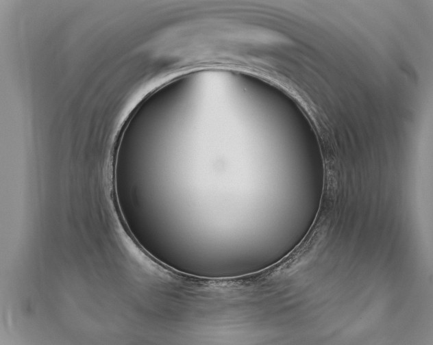 X0000112061531200908111401