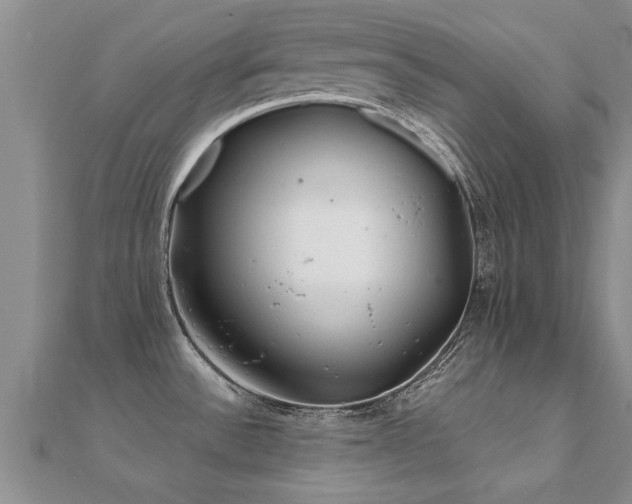 X0000112061532200908111401