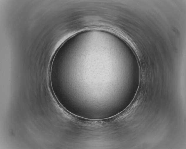 X0000112061533200908111401
