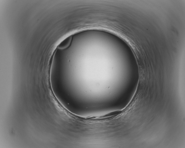 X0000112061534200908111401