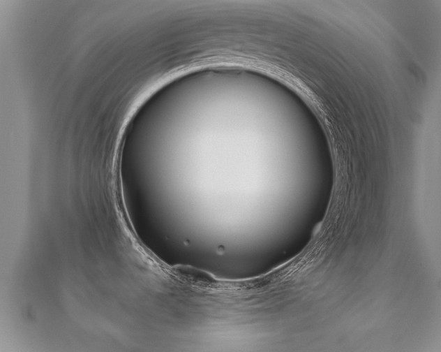 X0000112061536200908111401