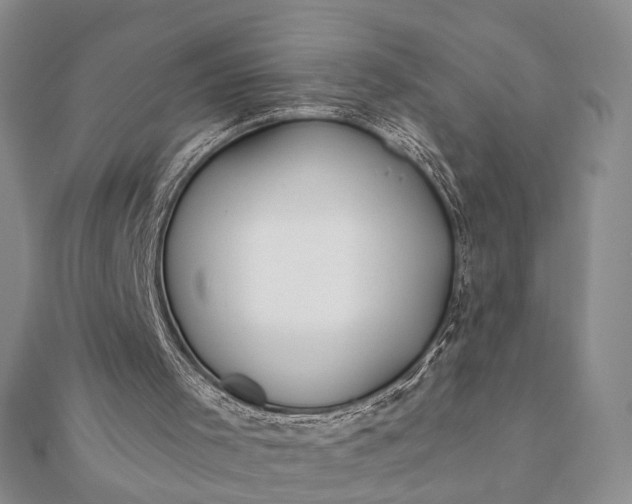 X0000112060001200908181208