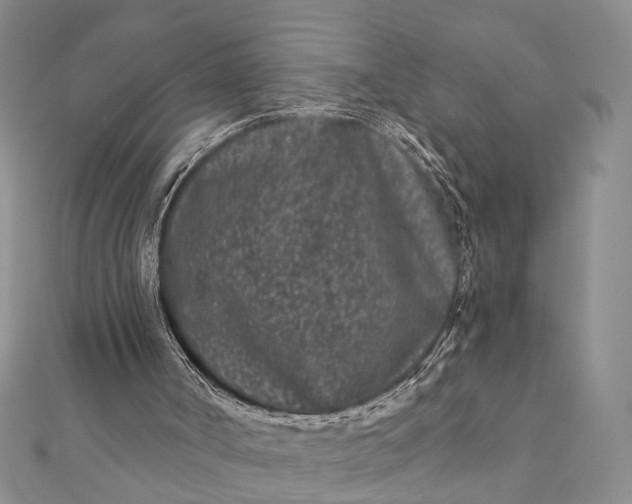 X0000112060002200908181208