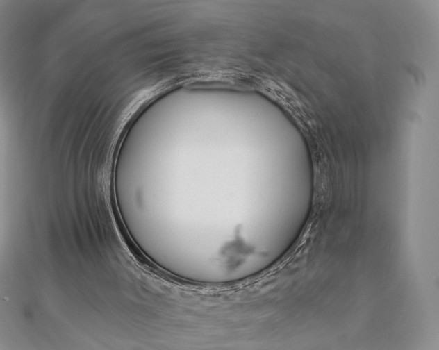 X0000112060003200908181208