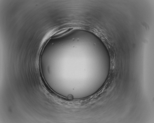 X0000112060004200908181208