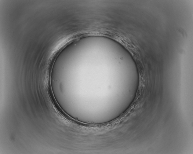 X0000112060005200908181208