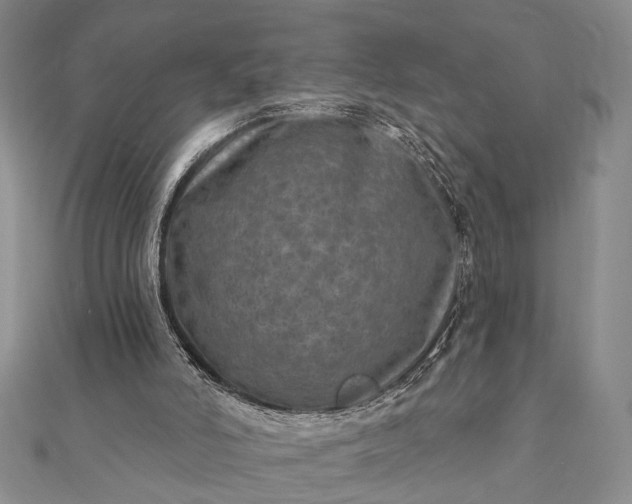 X0000112060006200908181208