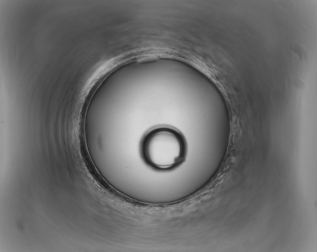 X0000112060007200908181208