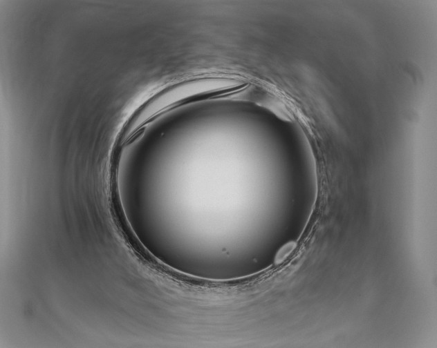 X0000112060008200908181208