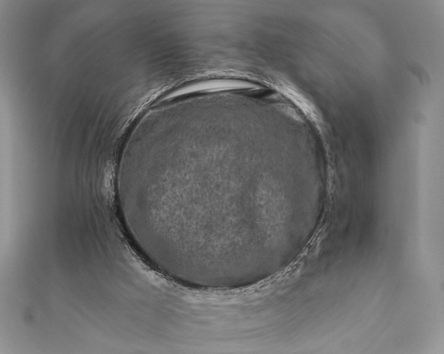 X0000112060009200908181208