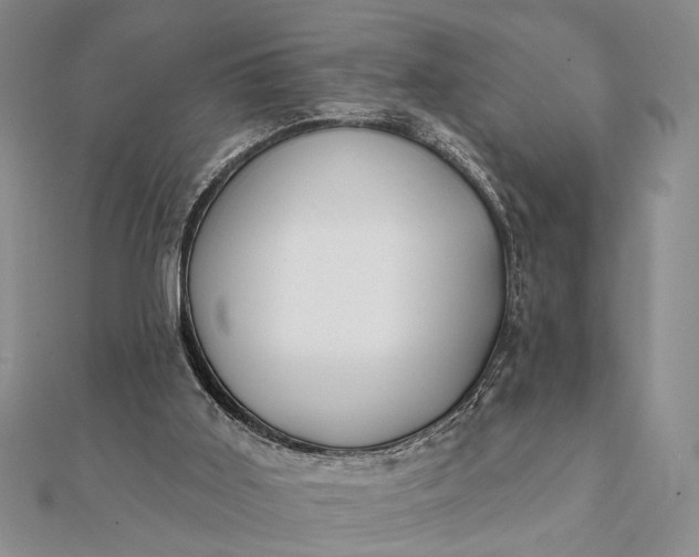 X0000112060011200908181208