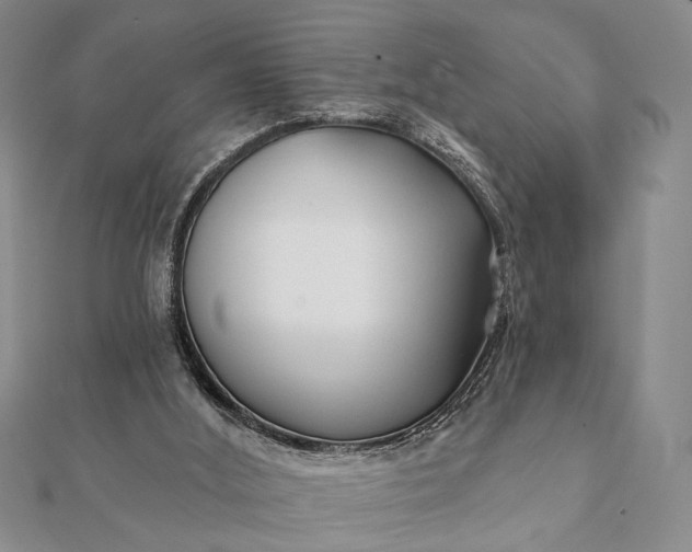 X0000112060012200908181208