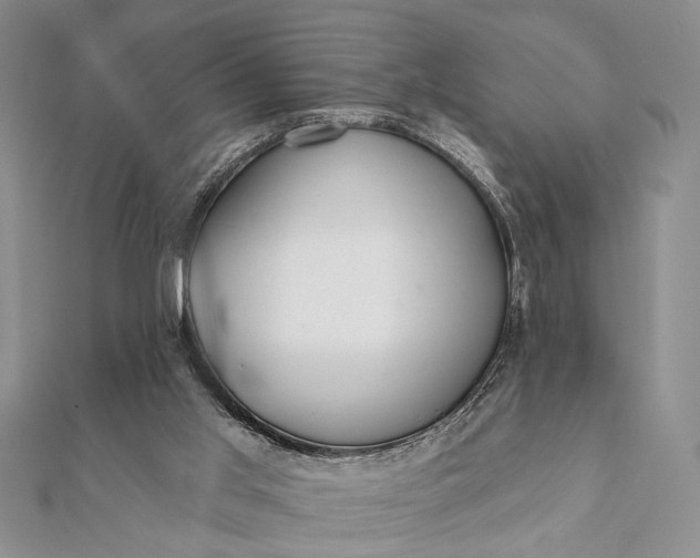 X0000112060013200908181208