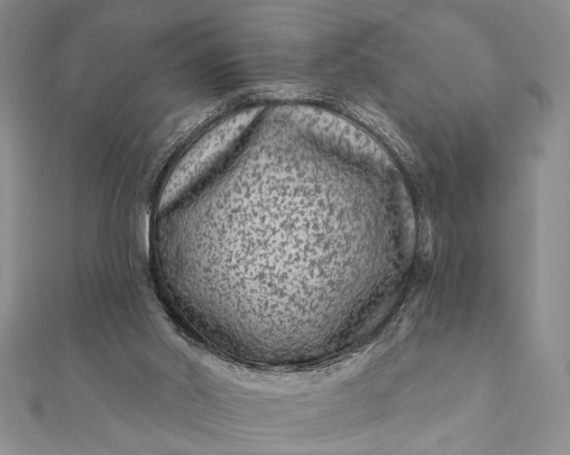 X0000112060014200908181208