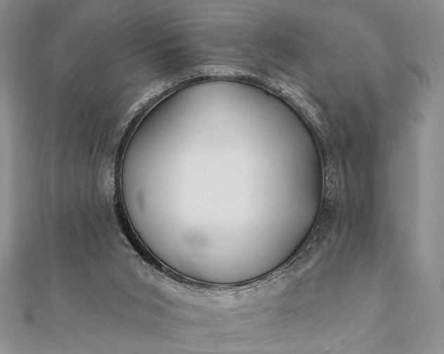 X0000112060015200908181208