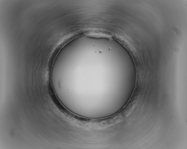 X0000112060016200908181208