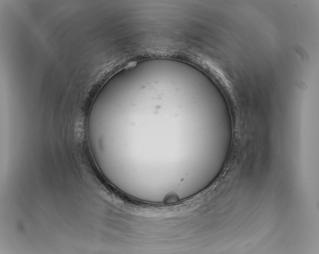 X0000112060017200908181208