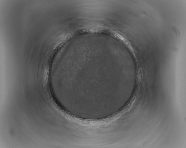 X0000112060018200908181208