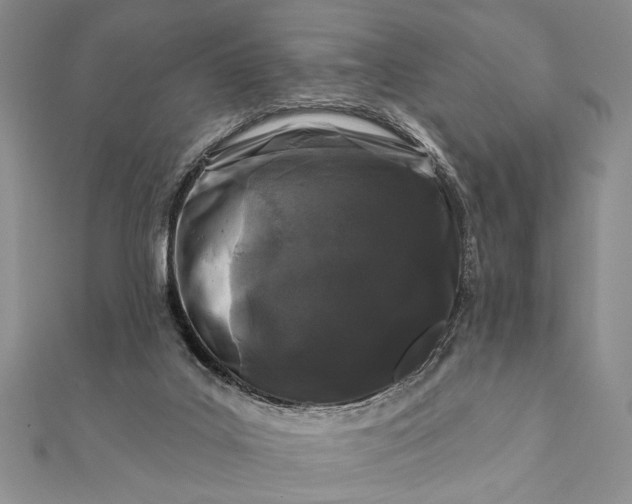 X0000112060019200908181208