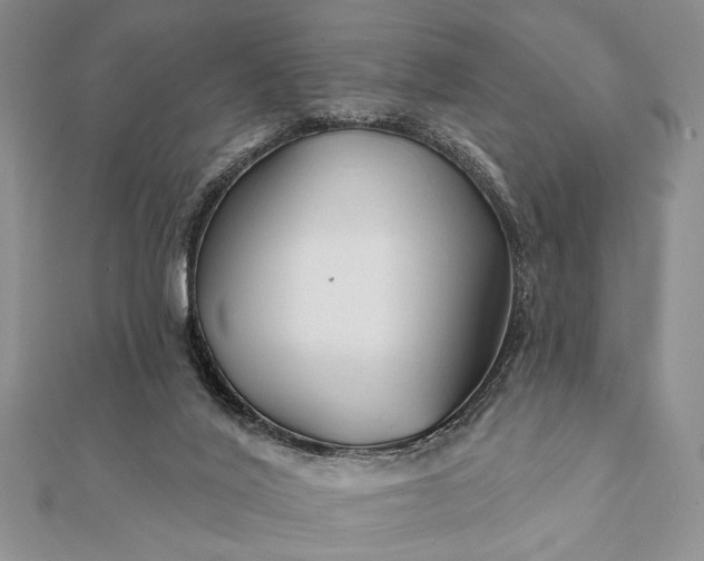 X0000112060020200908181208