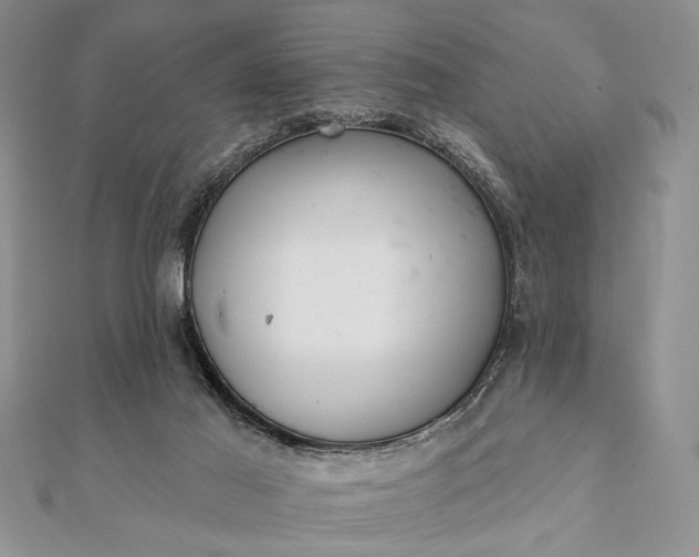 X0000112060021200908181208