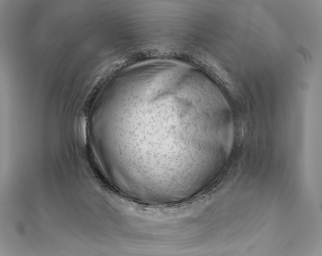 X0000112060022200908181208