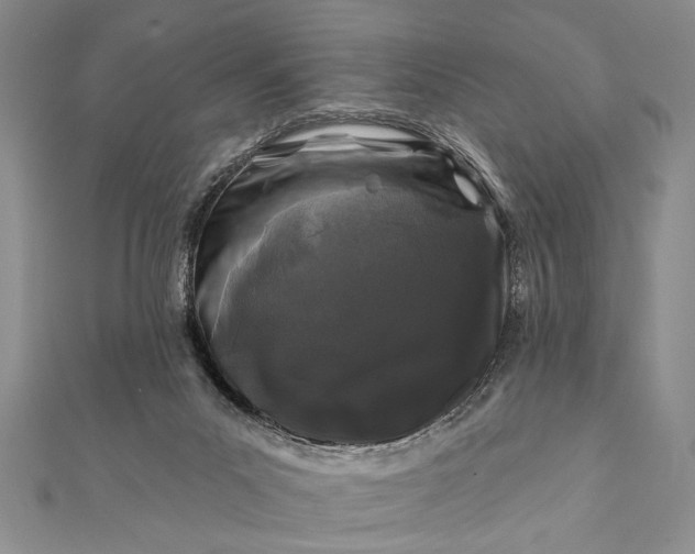 X0000112060023200908181208