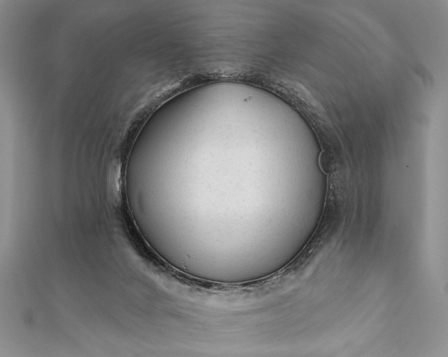 X0000112060024200908181208