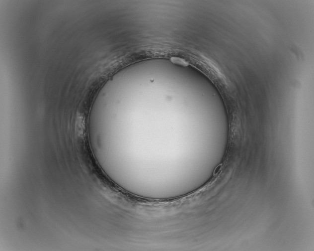 X0000112060025200908181208