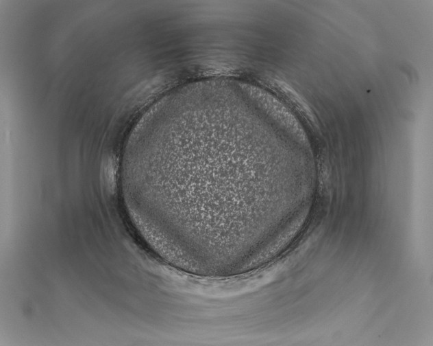 X0000112060026200908181208