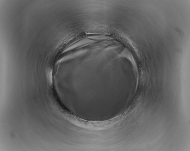 X0000112060027200908181208