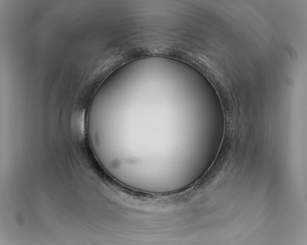 X0000112060028200908181208