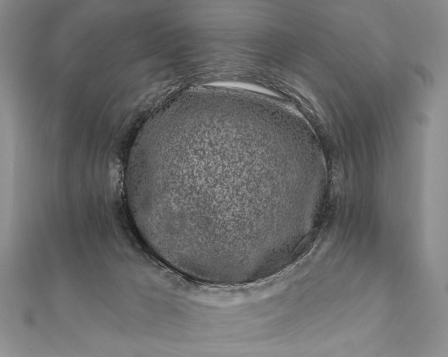 X0000112060029200908181208