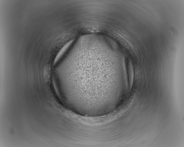 X0000112060030200908181208