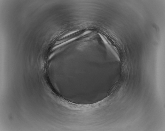 X0000112060031200908181208