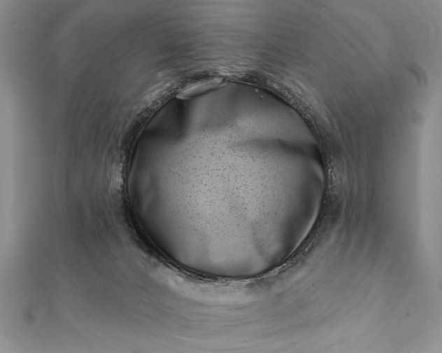 X0000112060032200908181208