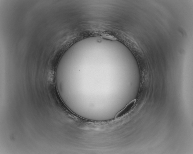 X0000112060033200908181208