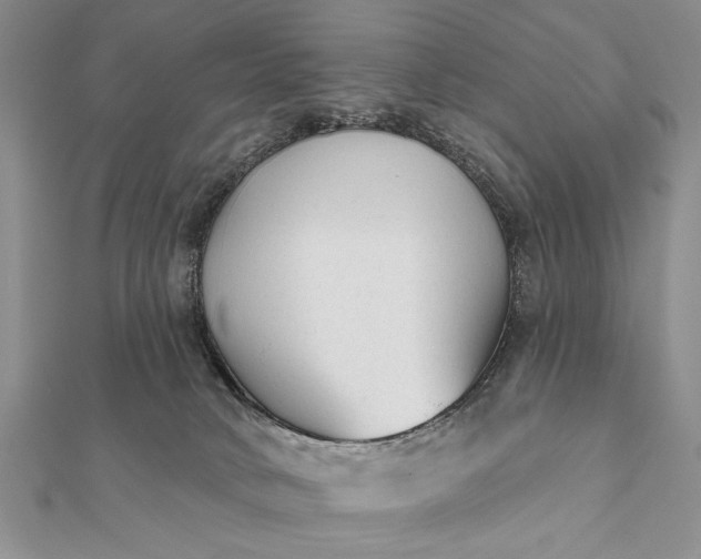 X0000112060034200908181208